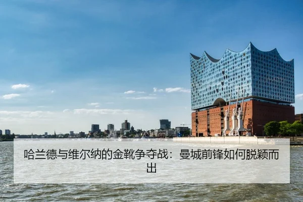 ha-lan-de-yu-wei-er-na-de-jin-xue-zheng-duo-zhan-man-cheng-qian-feng-ru-he-tuo-ying-er-chu-2-174.jpg