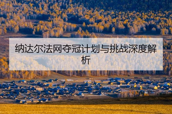 na-da-er-fa-wang-duo-guan-ji-hua-yu-tiao-zhan-shen-du-jie-xi-2-292.jpg