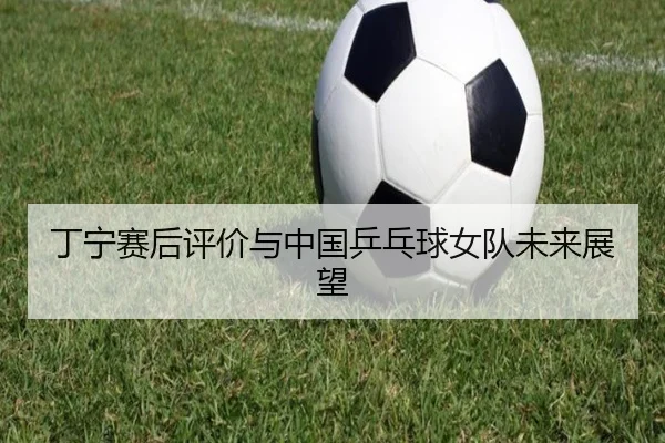 丁宁赛后评价与中国乒乓球女队未来展望