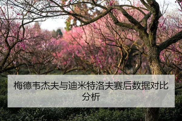 梅德韦杰夫与迪米特洛夫赛后数据对比分析