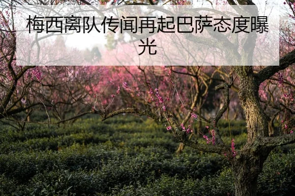 梅西离队传闻再起巴萨态度曝光